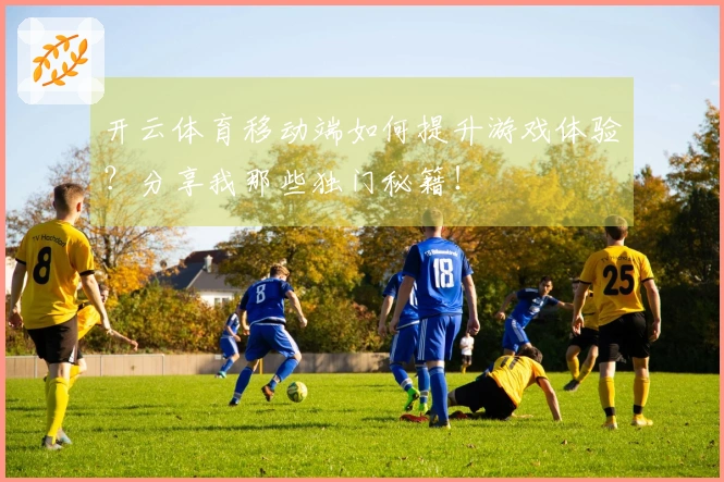 开云体育移动端如何提升游戏体验？分享我那些独门秘籍！