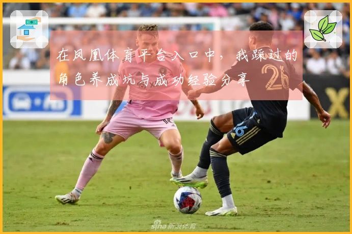 在凤凰体育平台入口中，我踩过的角色养成坑与成功经验分享