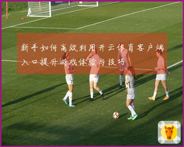 新手如何高效利用开云体育客户端入口提升游戏体验与技巧